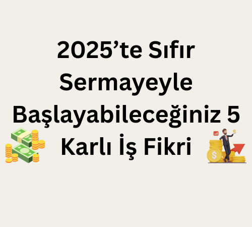 2025te-sifir-sermayeyle-baslayabileceginiz-5-karli-is-fikri