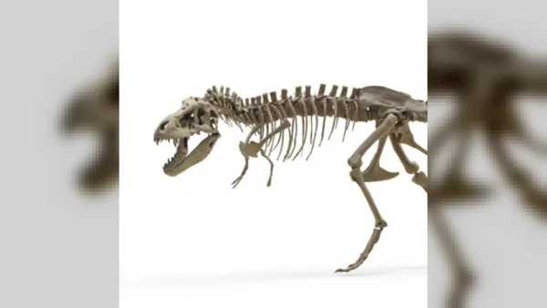 T. rex’in Dişleri Vücut Sıcaklığını Fil Kadar Sıcak Gösterdi