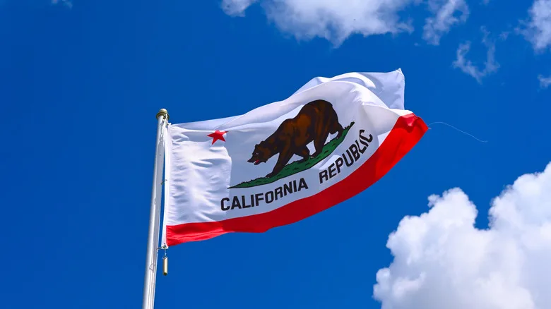 Photo of the California state flag waving in front of a bright blue sky.